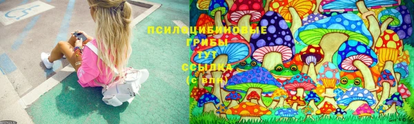 крисы Зеленодольск