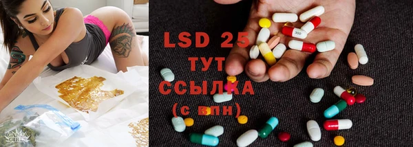 крисы Зеленодольск