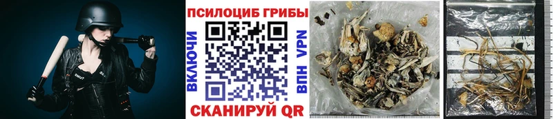 Галлюциногенные грибы Magic Shrooms  Купить где  Плавск 